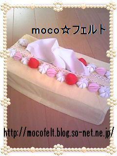 Tissue01_moco.JPG